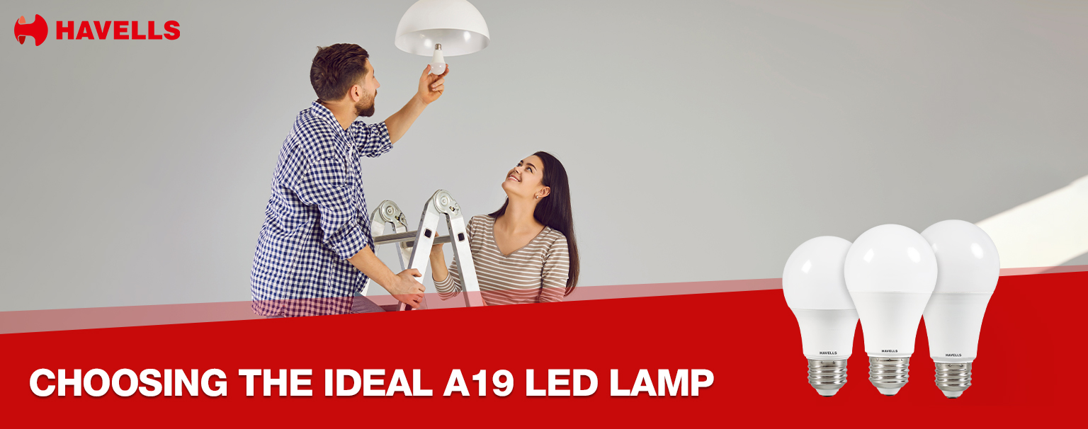 A19 LED Lamp