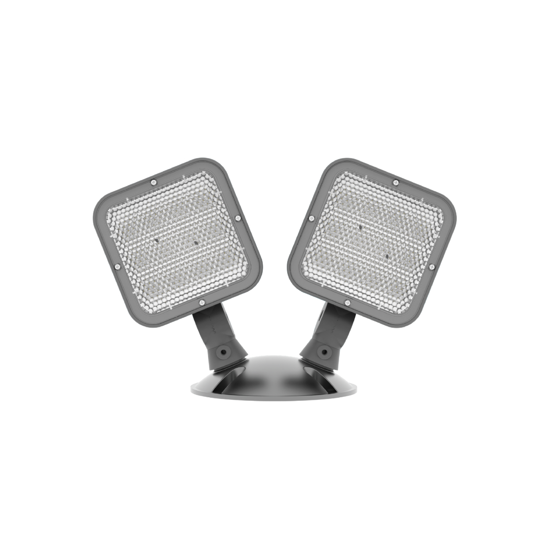 Remote Head Emergency Light